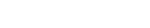 NF Busty logo